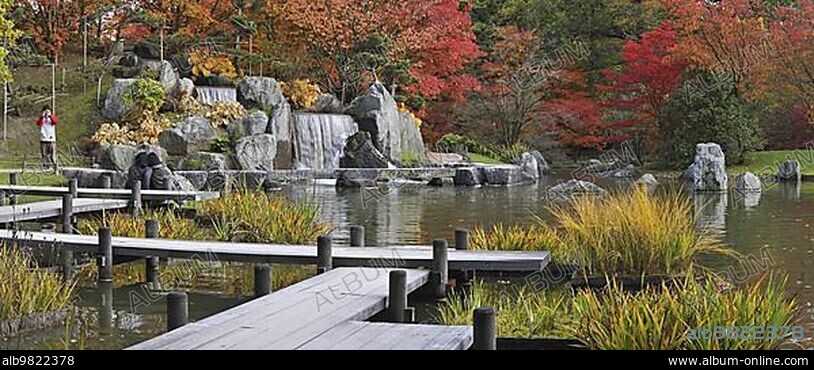 Tourists walking along pond with waterfall and Smooth Japanese maples (Acer palmatum) showing leaves in colourful red and orange autumn colours at Japanese garden; Hasselt; Belgium; Europe.