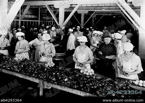 Women peeling onions for the preparation of the corned-beef to be exported in Europe. United States, World War I. Washington, Library of congress.