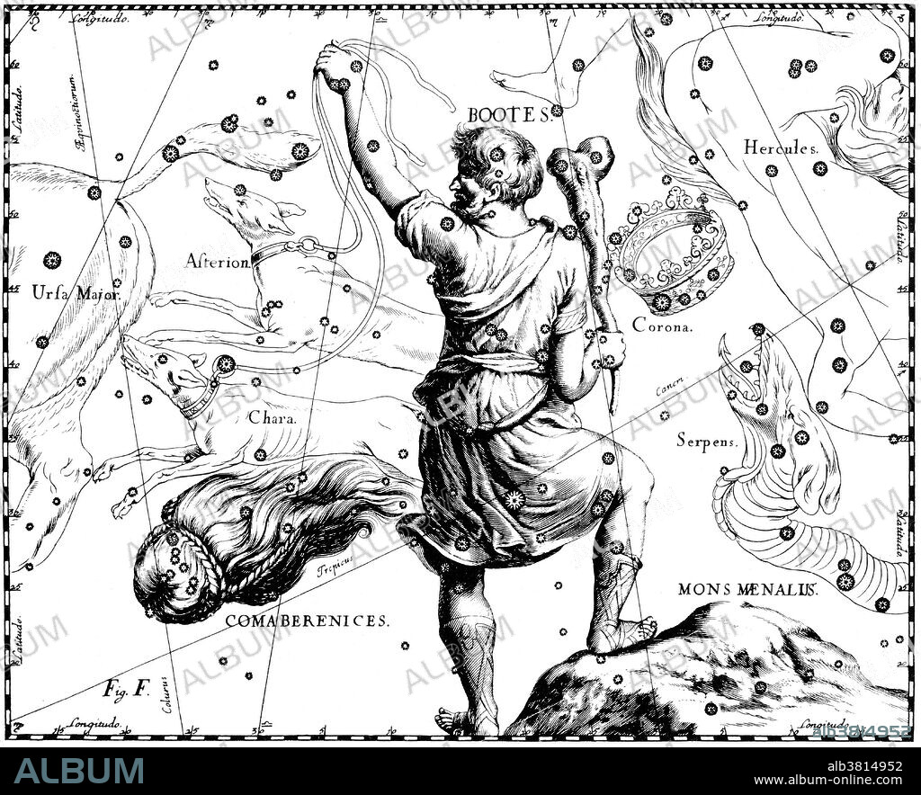 Bootes constellation from Johannes Hevelius' Prodromus astronomiae, Firmamentum Sobiescianum, sive Uranographia, 1687. Bootes was one of the 48 constellations described by the 2nd century astronomer Ptolemy and is now one of the 88 modern constellations defined by the International Astronomical Union. He holds his hunting dogs, Canes Venatici. Below them is the constellation Coma Berenices. Above the head of Bootes is Quadrans Muralis, now obsolete. The Hevelius Firmamentum was the first star atlas to rival Bayer's Uranometria in accuracy, utility, innovation, and influence. Hevelius was perhaps the most active observational astronomer of the last half of the seventeenth century. His star atlas is notable for many reasons. It contains 56 large, double page engraved star maps. The star positions for the charts were derived from his own star catalog, based on his own observations, which was first published along with the atlas. It is unique among the Grand Atlases in choosing to depict the constellations as they would appear on a globe, that is, from the outside looking in, rather than from a geocentric point of view, as Bayer and most others adopted.