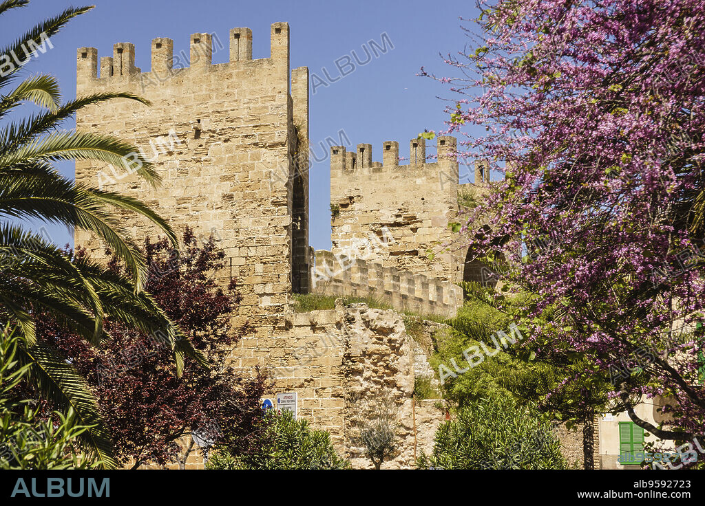 puerta de Mallorca - puerta de Sant Sebastia-, muralla medieval, siglo XIV, Alcudia,Mallorca, islas baleares, Spain.