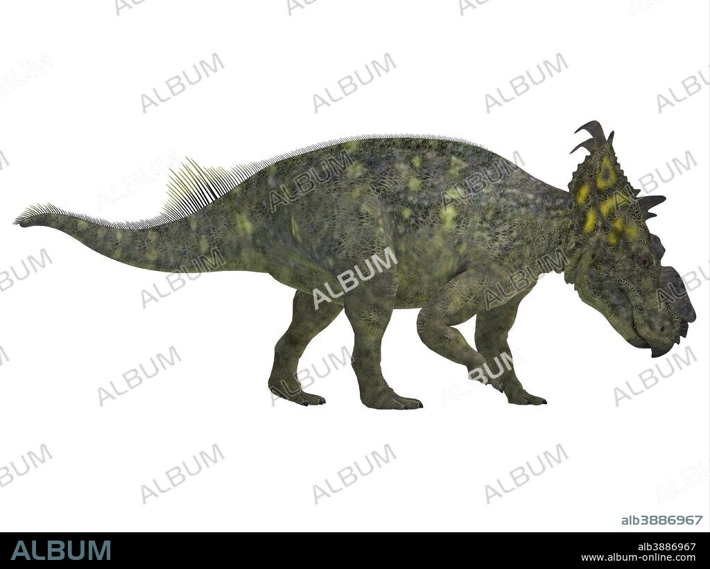 Pachyrhinosaurus dinosaur, side view. Pachyrhinosaurus was a ceratopsian herbivorous dinosaur that lived in the Cretaceous Period of Alberta, Canada.