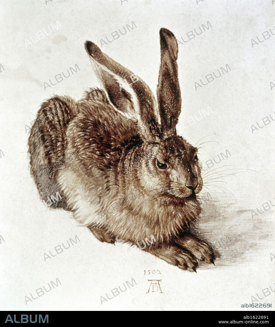 ALBERTO DURERO. The Young Hare  1502  Albrecht Durer (1471-1528 German)  Watercolor  Graphische Sammlung, Albertina, Vienna, Austria.