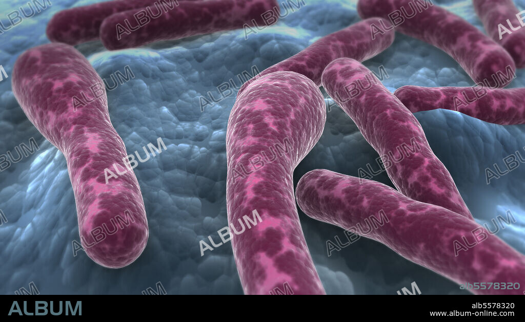 Microscopic view of Clostridium botulinum bacteria.