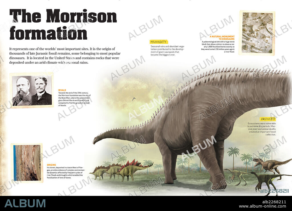 La formación Morrison. Infografía sobre la formación Morrison, yacimiento paleontológico en Estados Unidos, donde se hallaron gran cantidad de fósiles de dinosaurios del Período Jurásico, era Mesozoica.