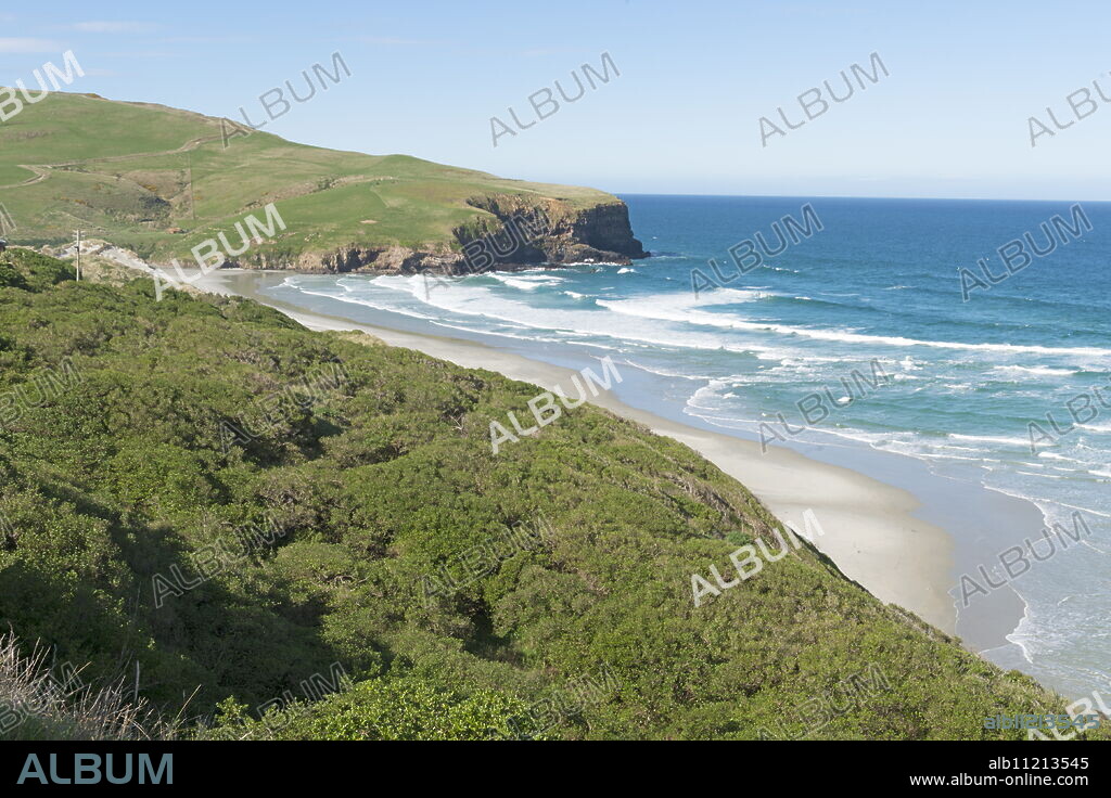 Beach, Otago Peninsula, Otago, South Island, New Zealand, Pacific.