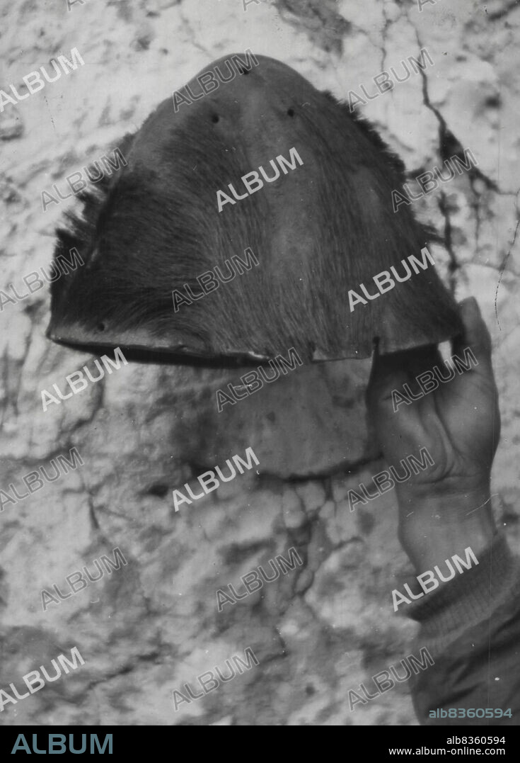Daily Mail "Abominable Snowman" Expedition -- The scalp of a Yeti, or "Abominable Snowman" which has been seen and examined in detail by Mr. Charles Stonor of the Daily Mail "Snowman" Expedition. March 16, 1954.