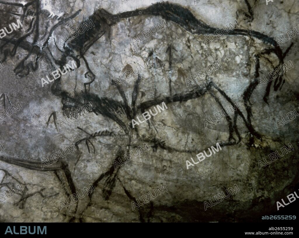 Cave of Niaux. Black Hall panel. Painting of the Bison, executed in a Black-outlined style. Late Upper Paleolithic. Magdalenian Culture, c. 13.000 BCE. Ariege, southwestern France. Europe.