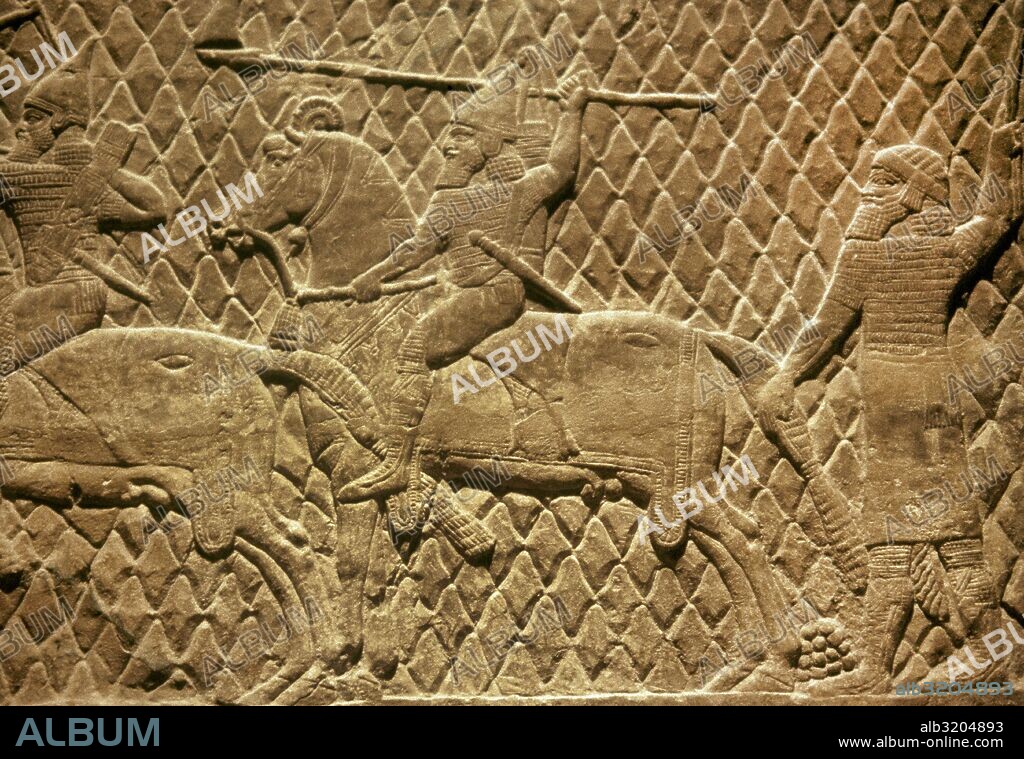 EJERCITO ASIRIO. Relieve del siglo VIII a. C. Detalle de un lancero a caballo. Relieve procedente del Palacio de Asurbanipal. Nínive. Museo del Louvre. París. Francia.