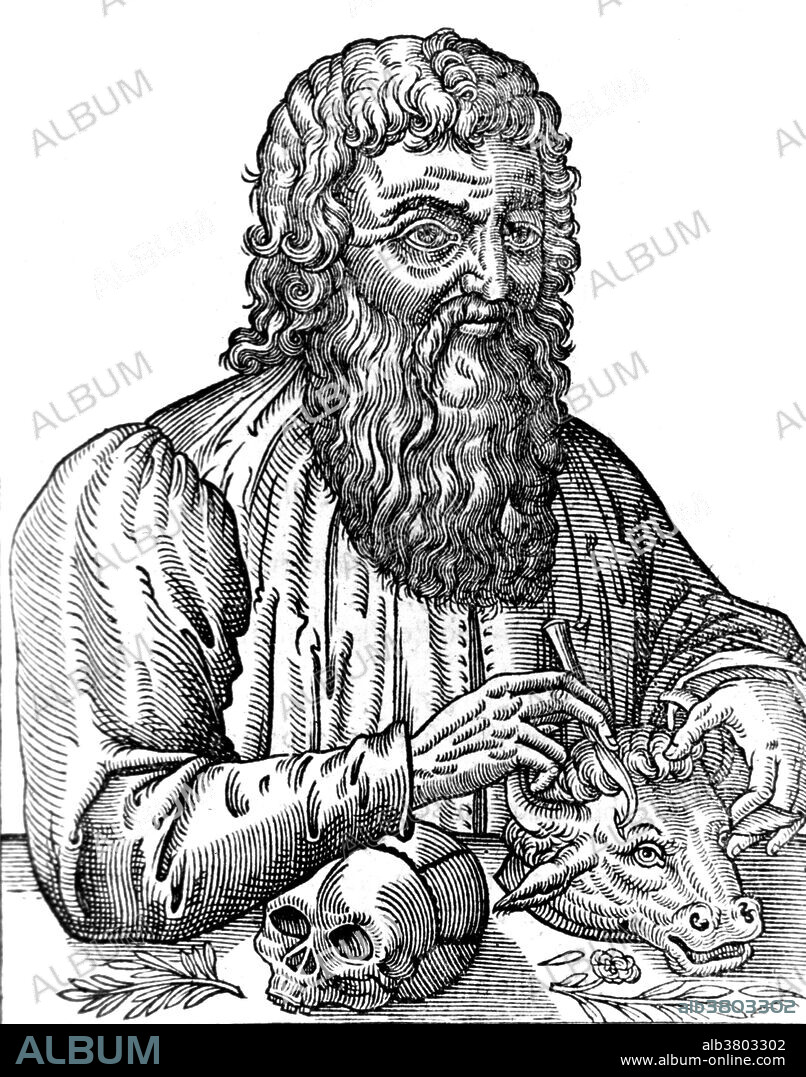 Hippocrates (460-370 BC) was a Greek physician who is generally considered to be the father of medicine, although little is actually known about him. His influence survives in the Hippocratic oath, a code of medical ethics some medical students take on completion of their training. He founded a medical school on the Aegean island of Cos, where his ideas on medical conduct and practice were implemented. He advocated a rational approach to medicine, believing that disease was caused by physical phenomenon and not by the interference of the gods. Plant extracts, including willow bark and spiraea, of which salicylic acid was the active ingredient, had been known to help alleviate headaches, pains, and fevers since antiquity. Hippocrates left historical records describing the use of powder made from the bark and leaves of the willow tree to help these symptoms.