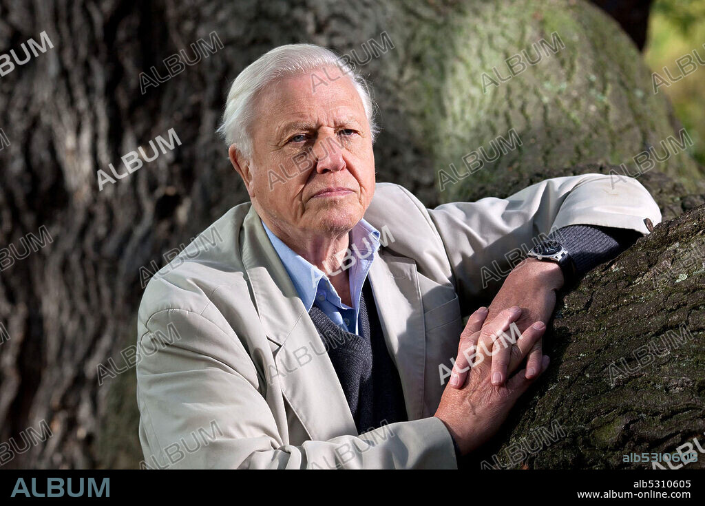DAVID ATTENBOROUGH in ATTENBOROUGH'S JOURNEY, 2010. Copyright ATLANTIC PRODUCTIONS.