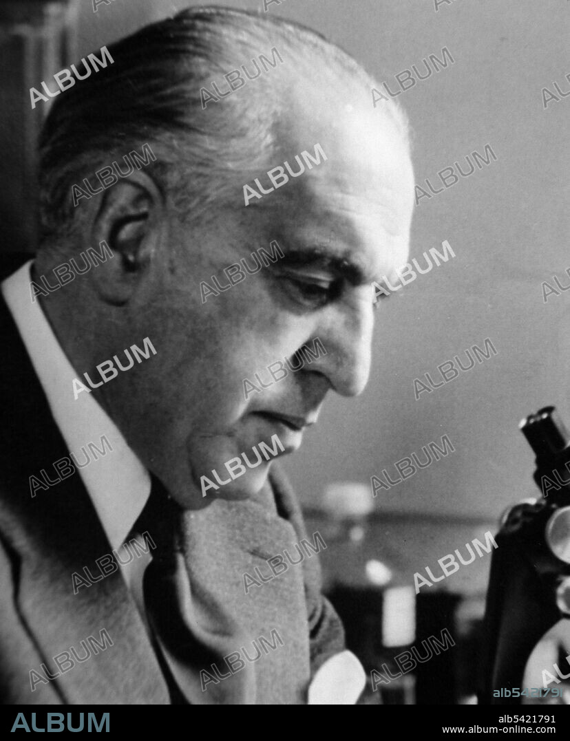 MARAÑON , GREGORIO. MEDICO Y ESCRITOR ESPAÑOL . MADRID 1887 - 1960. ULTIMA FOTOGRAFIA 1960.