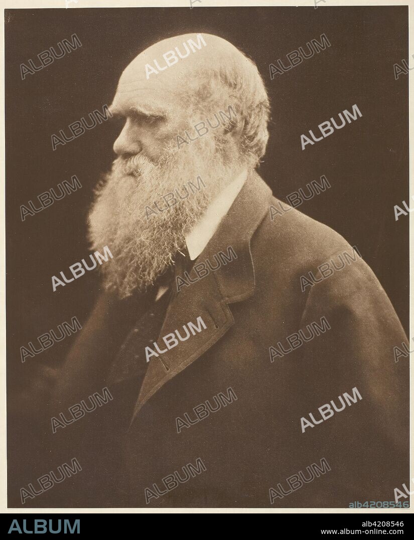 Charles Darwin. Julia Margaret Cameron; English, 1815-1879. Date: 1863-1873. Dimensions: 26.9 × 21.6 cm (image/paper); 33.8 × 28.1 cm (mount). Carbon print. Origin: England.