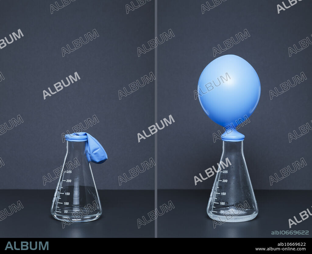 Sodium carbonate reacts with citric acid. 0.025 mol of sodium carbonate (Na2CO3) is placed in a balloon, which is then attached to an Erlenmeyer flask that contains 20 mL of saturated citric acid (H3C6H5O7), left frame. After the balloon is turned upright, sodium carbonate pours into the acid. In the reaction, H3C6H5O7 + Na2CO3 -> Na3C6H5O7 + CO2 + H2O, carbon dioxide gas is produced and the balloon is inflated as a result, right frame. This is an example of a carbonate-acid reaction, which in itself is a double-replacement reaction followed by a decomposition reaction.
