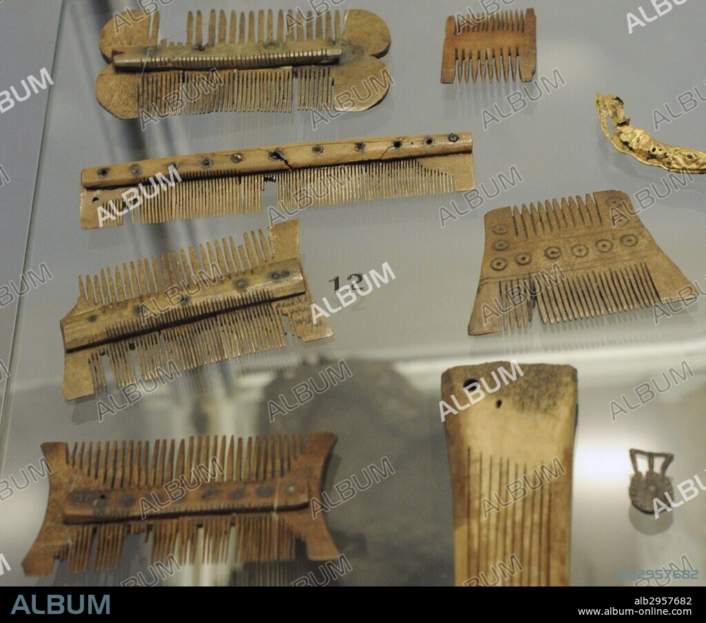EPOCA MEDIEVAL. Conjunto de peines realizados con cuernos de animal. Fechados entre los siglos XII-XIII. Polonia. Museo Arqueológico. Gdansk. Polonia. Europa.