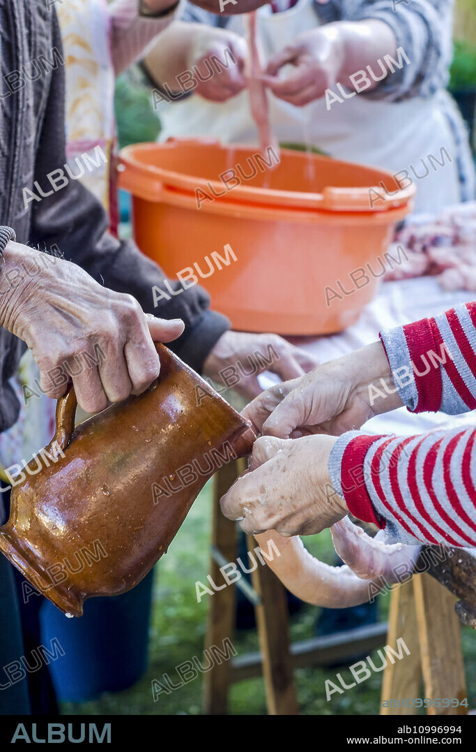 Cleaning and sewing of the guts. Slaughter of the Pig. Algaida. Comarca de Es Pla. Mallorca. Balearic Islands. Spain.