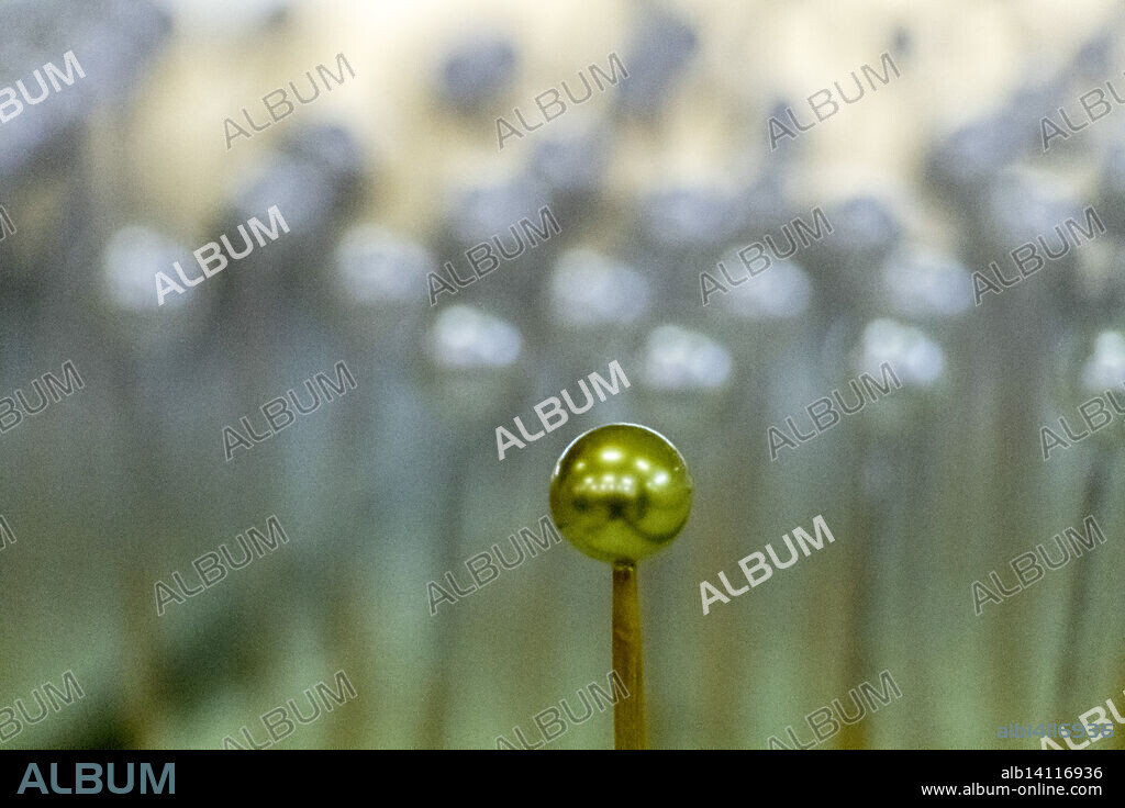 pearls drying, Orquidea Pearl Factory, Montuiri, Mallorca, Balearic Islands, Spain.