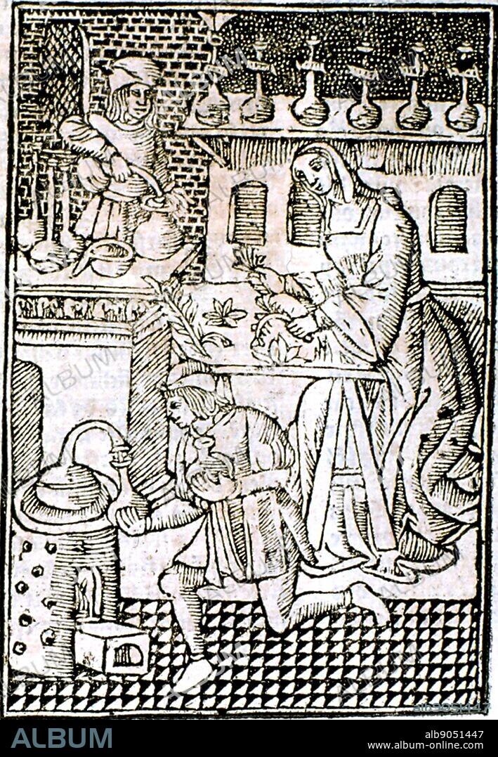 Distillation of medicines. Female in centre is sorting herbs to be used in various concoctions. From 'Le livre de la propriete des choses' (On the Properites of Things) written by the English Franciscan monk Bartholomew Glanville called Bartolomaeus Ang.