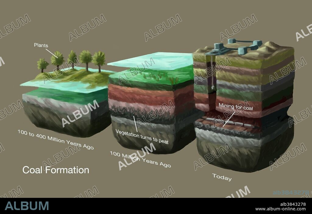 Illustration showing the process of coal formation. The earth once had many dense forests in low-lying wetland areas (Fig. 1, left). In such environments, the accumulation of plant debris exceeds the rate of bacterial decay of the debris. The bacterial decay rate is reduced because the available oxygen in organic-rich water is completely used up by the decaying process. These conditions produce the dense, carbon-rich material known as peat (Fig. 2, middle) which, over millions of years, becomes compressed and heated, turning into coal (Fig. 3, right).