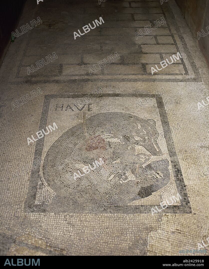 ARTE ROMANO. ITALIA. MOSAICO romano con la representación de un "CAVE CANEM", que advertía de la presencia de un perro vigilante en la casa. En la parte superior, letra capital romana de "HAVE". POMPEYA. La Campania.