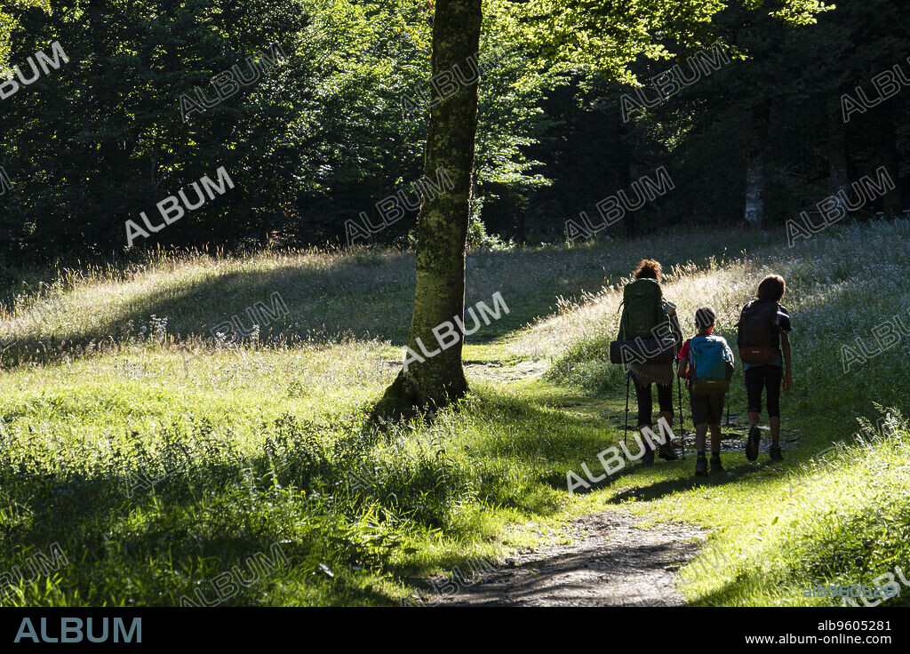 niños cruzando el bosque de Linza, ruta de las Golondrinas, barranco de Petrechema, pirineos occidentales, , Huesca, Aragón, Spain, Europe.