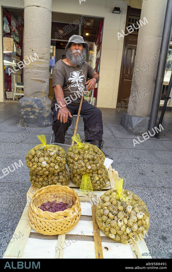 vendedor recolector de caracoles, mercado al aire libre, Barbastro, , cordillera de los Prepirineos, Spain.