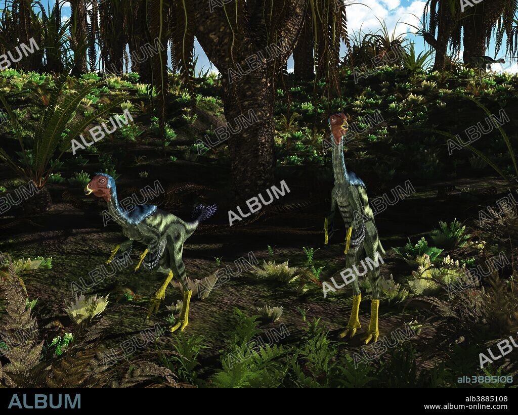Peacock-sized theropod dinosaurs of the genus Caudipteryx wander a landscape dominated by cycad-like seed plants of the genus Williamsonia 125 million years ago in what is today China.. . Caudipteryx was a maniraptoran with a combination of reptile and bird-like features, including soft downy feathers that covered its body and a broad feathered tail. It could not fly, but was probably a swift runner.