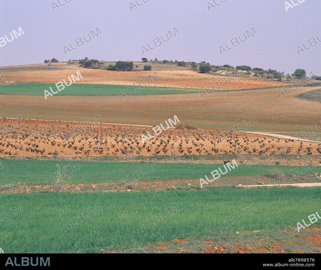 PAISAJE AGRARIO - FOTO AÑOS 90.
