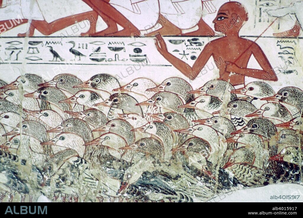 Counting the geese: fragment of wall painting from the tomb of Nebamun, (no 2), Thebes, Egypt, 18th Dynasty, c1350 BC. Showing a man herding geese with text above beginning 'do not rush with the birds'. Scenes of watching agricultural or field activities such as this were intended to convey the importance of the owner of the tomb, and thus to commemorate him in the Afterlife. From the British Museum's Collection.