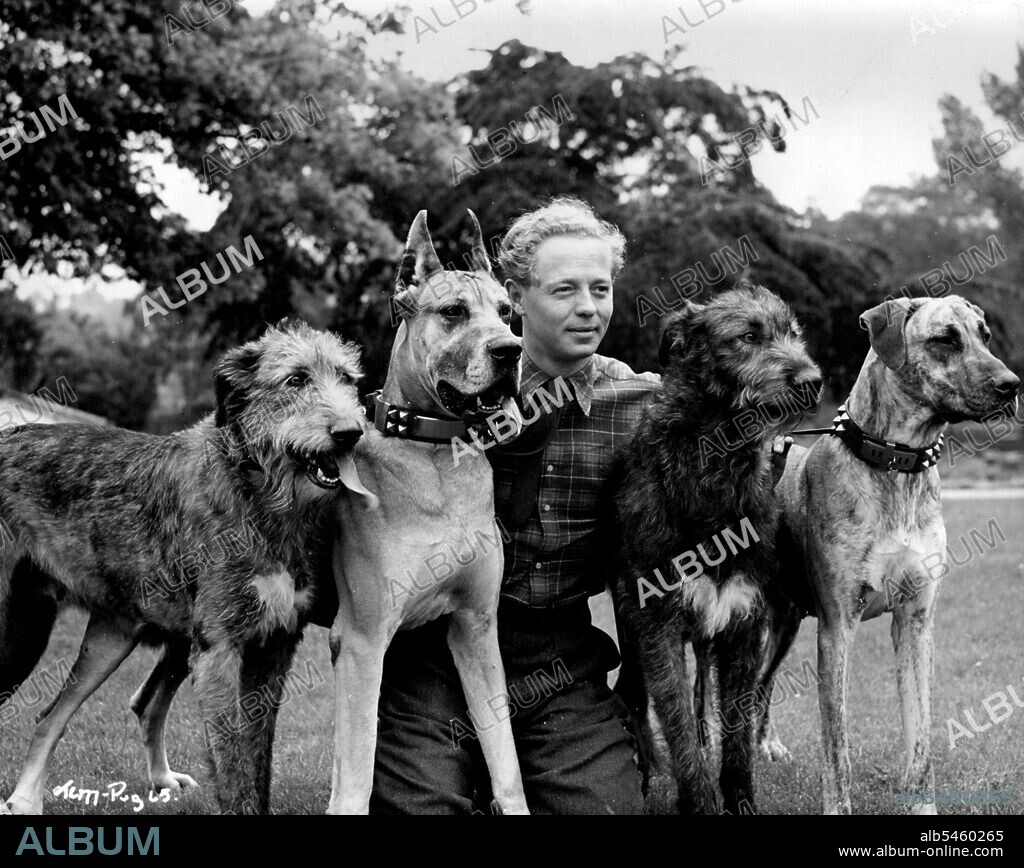 Jimmy Hanley photographer in the grounds of Denham Studios with some of the magnificent dogs owned by Mr. J.V. Rank.Directed by Jeffrey Dell at Denham, Two Cities' "It's Hard to be Good" stars Anne Crawford, Jimmy Hanley with Geoffrey Keen, Joyce Carey, Raymond Huntley i main feature roles - Associate Producer John W. Gossage. May 12, 1949.