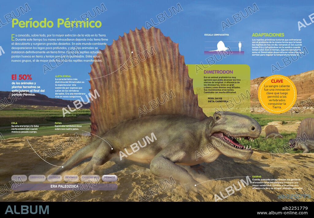 período Pérmico. Infografía de las condiciones ambientales y los animales del período Pérmico (hace 299 millones de años).