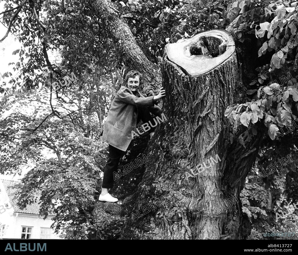 VIMMERBY 17 June 1961- . Swedish author Astrid Lindgren climbing a tree in her childhood village Vimmerby in the province Smaland in 1961. Her stories about characters such as Pippi Longstocking, Emil, Kalle Blomquist, the Brothers Lionheart, Karlsson-on-the-Roof, Ronia, the Robber's Daughter and the Bullerby children are loved and read by children all over the world. She was born on the farm Nas outside Vimmerby November 14, 1907 and would . have turned 100 years old this year. Astrid passed away in 2002.. Photo: Folke Hellberg / SCANPIX Code: 23.