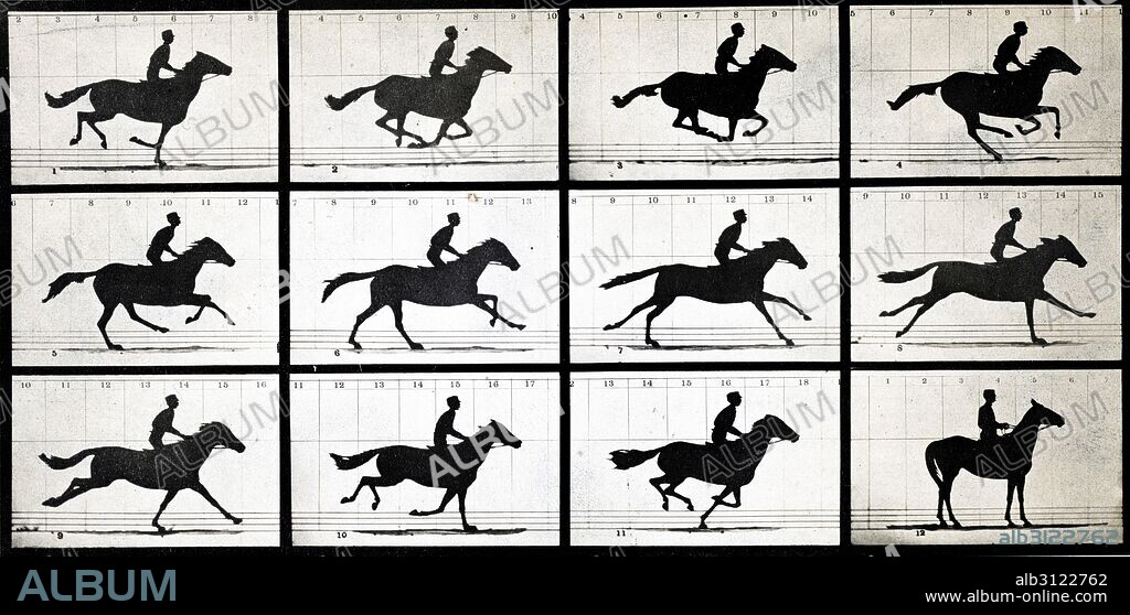 Horse in Motion by Eadweard Muybridge (1830-1904) an English photographer important for his pioneering work in photographic studies of motion, and early work in motion-picture projection. Dated 1877.