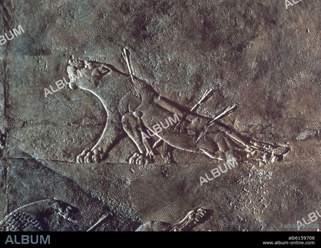 RELIEVE ASIRIO-CAZA DE LEONES-DET LEONA HERIDA- SIGLO VII AC - (CONJUNTO 20653).