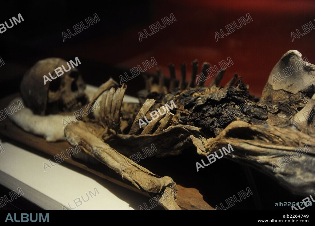 Momia del rey fenicio Tabnit, rey de Sidón (Líbano). Hacia el 500 a. C. Encontrada dentro de un sarcófago con los órganos internos momificados. Siglo V a. C. Museo Arqueológico. Estambul. Turquía.