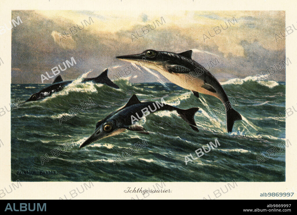 Extinct ichthyosaurs, Ichthyosaurus communis, jumping above the ocean. Ichthyosaurus (Greek ichthys fish and sauros lizard), extinct genus of ichthyosaur from the Early Jurassic. Ichthyosaurier. Colour printed illustration by Heinrich Harder from Wilhelm Bolsches Tiere der Urwelt (Animals of the Prehistoric World), Reichardt Cocoa company, Hamburg, 1908. Heinrich Harder (1858-1935) was a German landscape artist and book illustrator.
