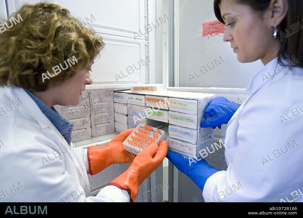Freezer, cryopreservation of samples, biopharmaceutical lab, development and production of innovative drugs using adult stem cells, Cellerix, Grupo Genetrix, Madrid.