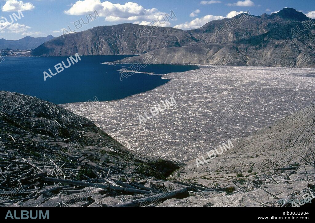 A huge raft of trees, blown down by the eruption of Mount St. Helens, cover one side of Spirit Lake, still afloat, years after the eruption.