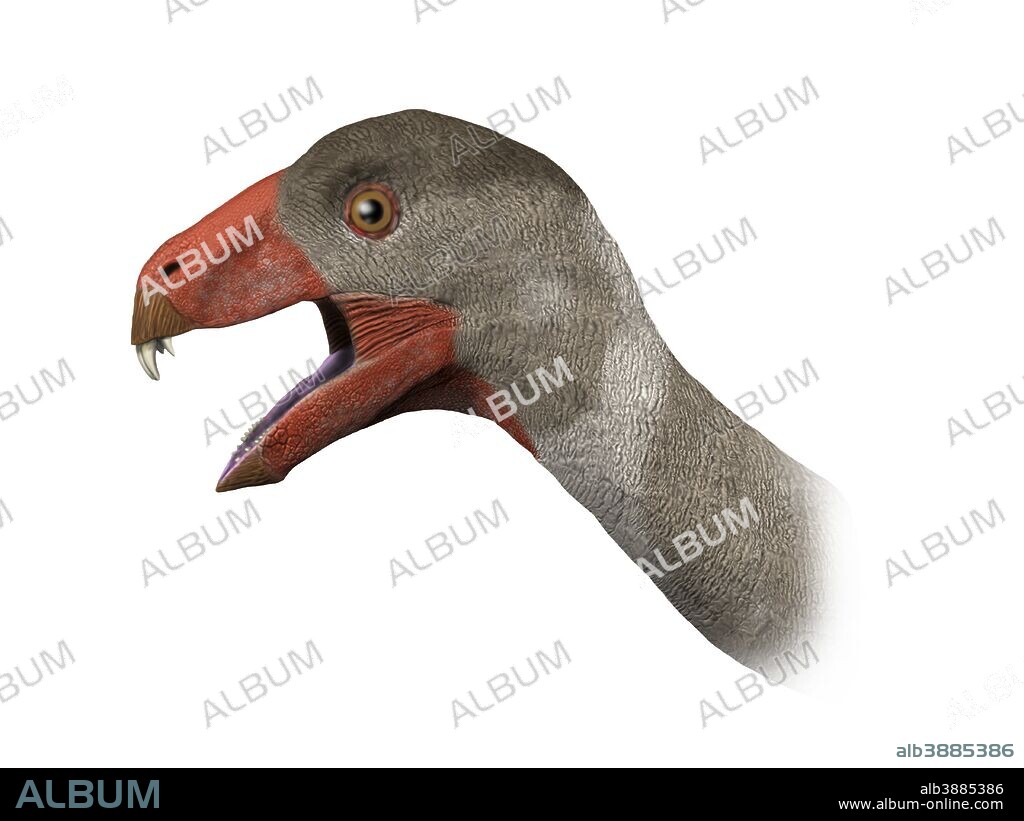 Incisivosaurus gauthieri is a theropod dinosaur from the Early Cretaceous period of China.