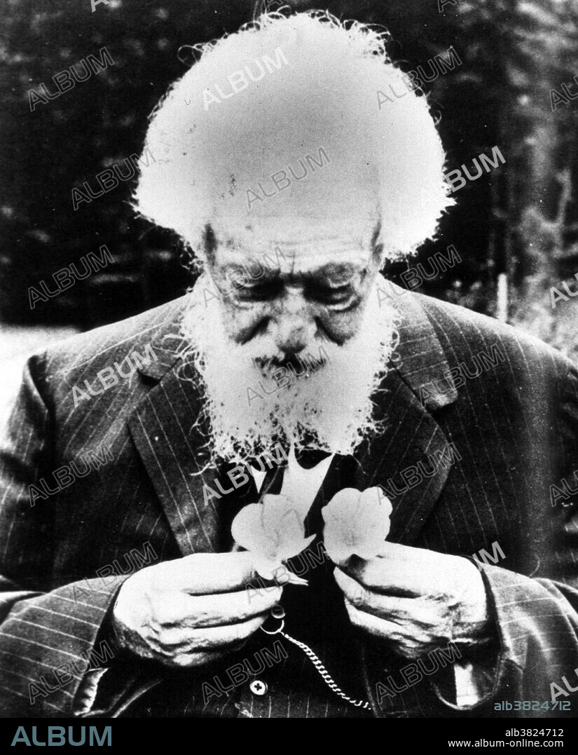 Hugo Marie de Vries (1848-1935) was a Dutch botanist and one of the first geneticists. In 1886 he discovered new forms of the evening primrose (Oenothera lamarckiana) growing wild in a meadow. Taking seeds from these, he found that they produced many new varieties in his experimental gardens; he introduced the term mutations for these suddenly appearing variations. In 1889, De Vries published his book Intracellular Pangenesis. He postulated that different characters have different hereditary carriers and that inheritance of specific traits in organisms comes in particles. He called these units pangenes (20 years later shortened to genes by  Wilhelm Johannsen). In his two-volume publication The Mutation Theory (1900-1903) he postulated that evolution, especially the origin of species, might occur more frequently with such large-scale changes than via Darwinian gradualism, basically suggesting a form of saltationism. De Vries's theory was one of the chief contenders for the explanation of how evolution worked. He continued his studies with new forms until his death in 1935.