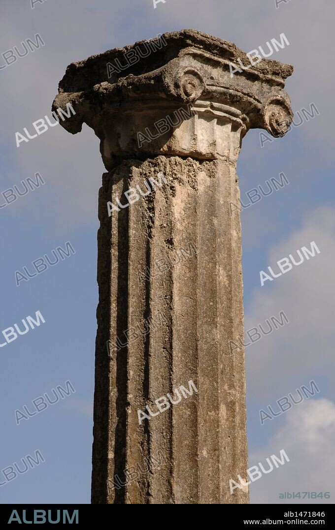ARTE GRIEGO. GRECIA. SANTUARIO DE OLIMPIA. Vista de una COLUMNA JONICA de la PALESTRA helenística del s. III a. C., donde se entrenaban los atletas. Región del Peloponeso. Provincia de Ilía.