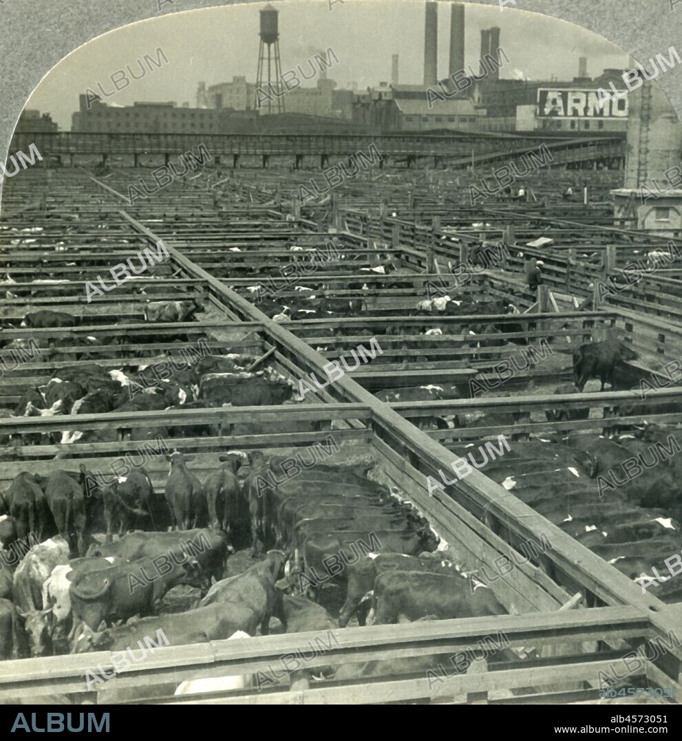 'The Great Union Stock Yards, Largest Live Stock Market on Earth, Chicago, Illinois', c1930s. Union Stock Yards were the centre of the American meatpacking industry and became a National Historic Landmark on May 29, 1981From "Tour of the World". [Keystone View Company, Meadville, Pa., New York, Chicago, London].