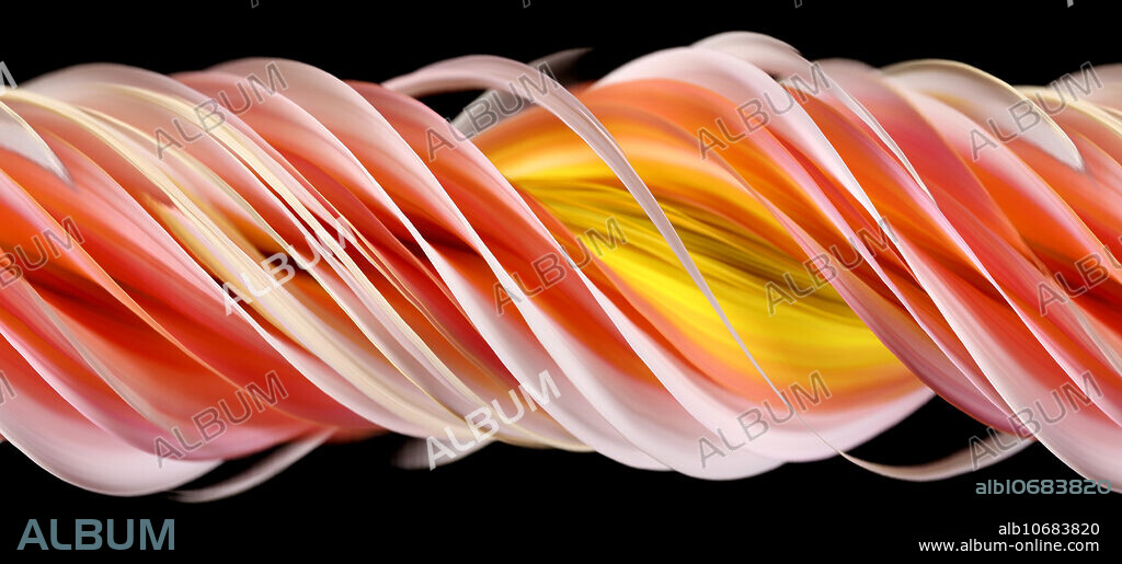 A slit-scan image of a dahlia Flower (Dahlia sp.).