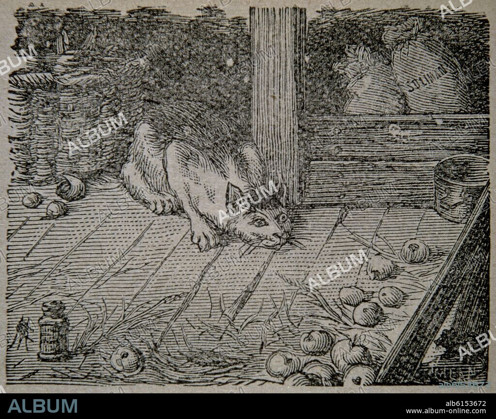 TOMAS IRIARTE (1750-1791). FABULAS-GRABADO DE EL GATO Y EL RATON.