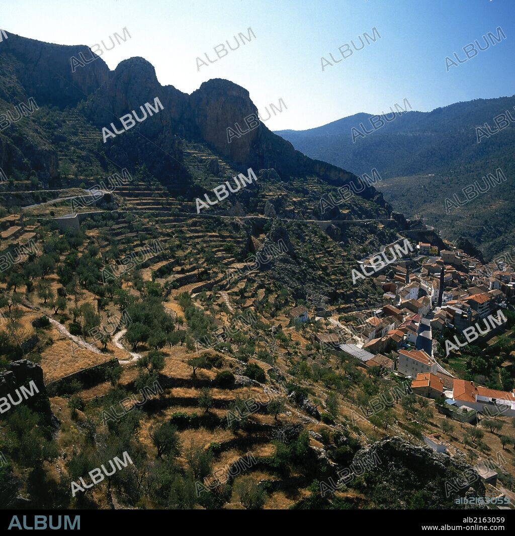 Vista de un paisaje con cultivo de árboles frutales dispuestos en terrazas. A la derecha, la población de AYNA. Provincia de Albacete. Castilla-La Mancha. España.