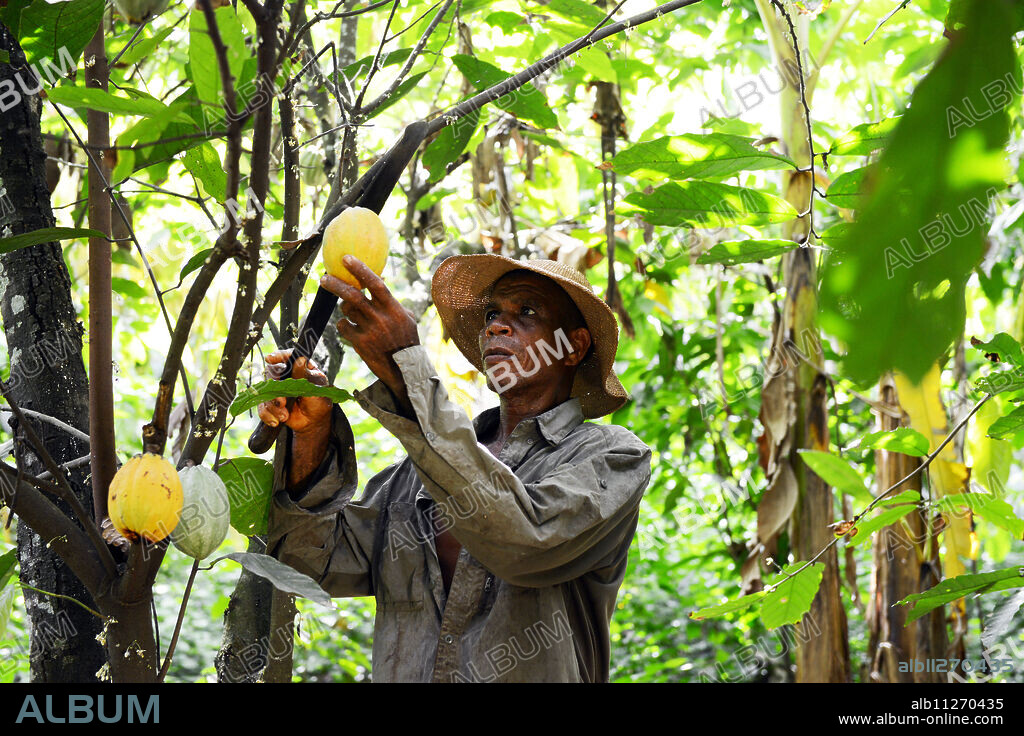 Akumrenu Emmanuel, a cocoa farmer, happy due to VSO present in Ghana, West Africa, Africa.