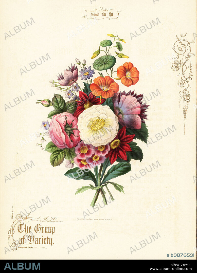 Bouquet of white rose, dahlia, nasturtium, auricula. The Group of Variety. Hand-coloured lithograph with gold calligraphy by Paul Jerrard from his own Gems for the Drawing Room, Paul Jerrard, 111 Fleet Street, London, 1852. Jerrard was a Victorian lithographer and print colourer active in London.