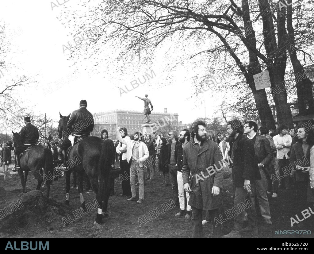 ©SCANPIX SWEDEN, 1971-05. Demonstrationer för att bevara almmarna i Kungsträdgården, Stockholm.. Bilden visar demonstrerande ungdomar och ridande poliser vid almarna. Kungliga slottet skymtar i bakgrunden.. Foto: Scanpix. Code: 20360. ***. ENGCAP: Demonstration against that fell elms in Kungsträdgården in Stockholm.