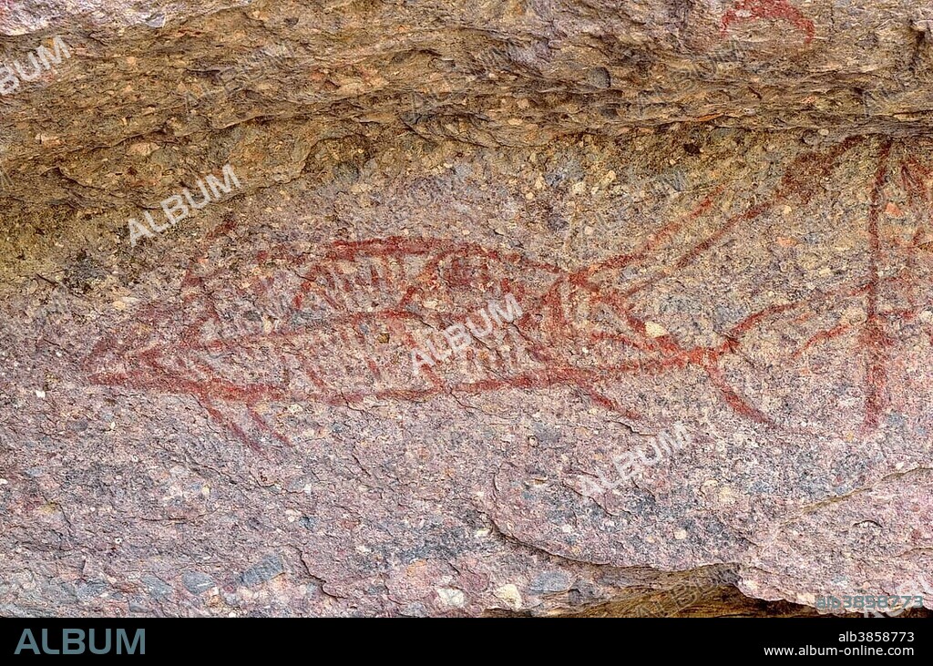 Fish, detail, historic rock paintings of Indians of various Cochimí tribes, at least 3500 years, Canon de La Trinidad, Mulege, Baja California, Mexico