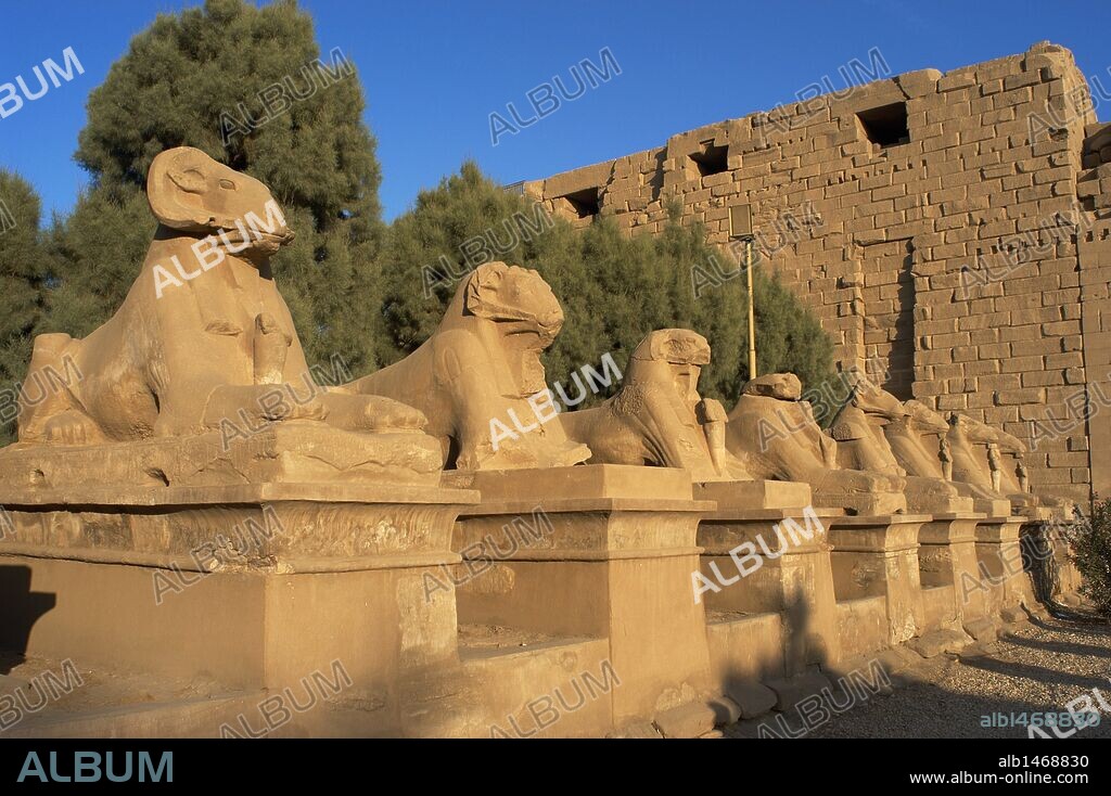 ARTE EGIPCIO. EGIPTO. TEMPLO DE KARNAK. AVENIDA DE LAS ESFINGES, con cabeza de CARNERO (símbolo del dios AMON). Construída durante el reinado de Ramses II. Dinastía XIX. Imperio Nuevo. Alrededores de Luxor (antigua Tebas "Waset").