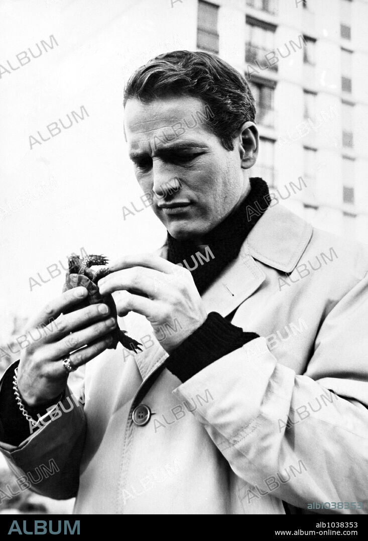 PAUL NEWMAN in PARIS BLUES, 1961, directed by MARTIN RITT. Copyright UNITED ARTISTS.